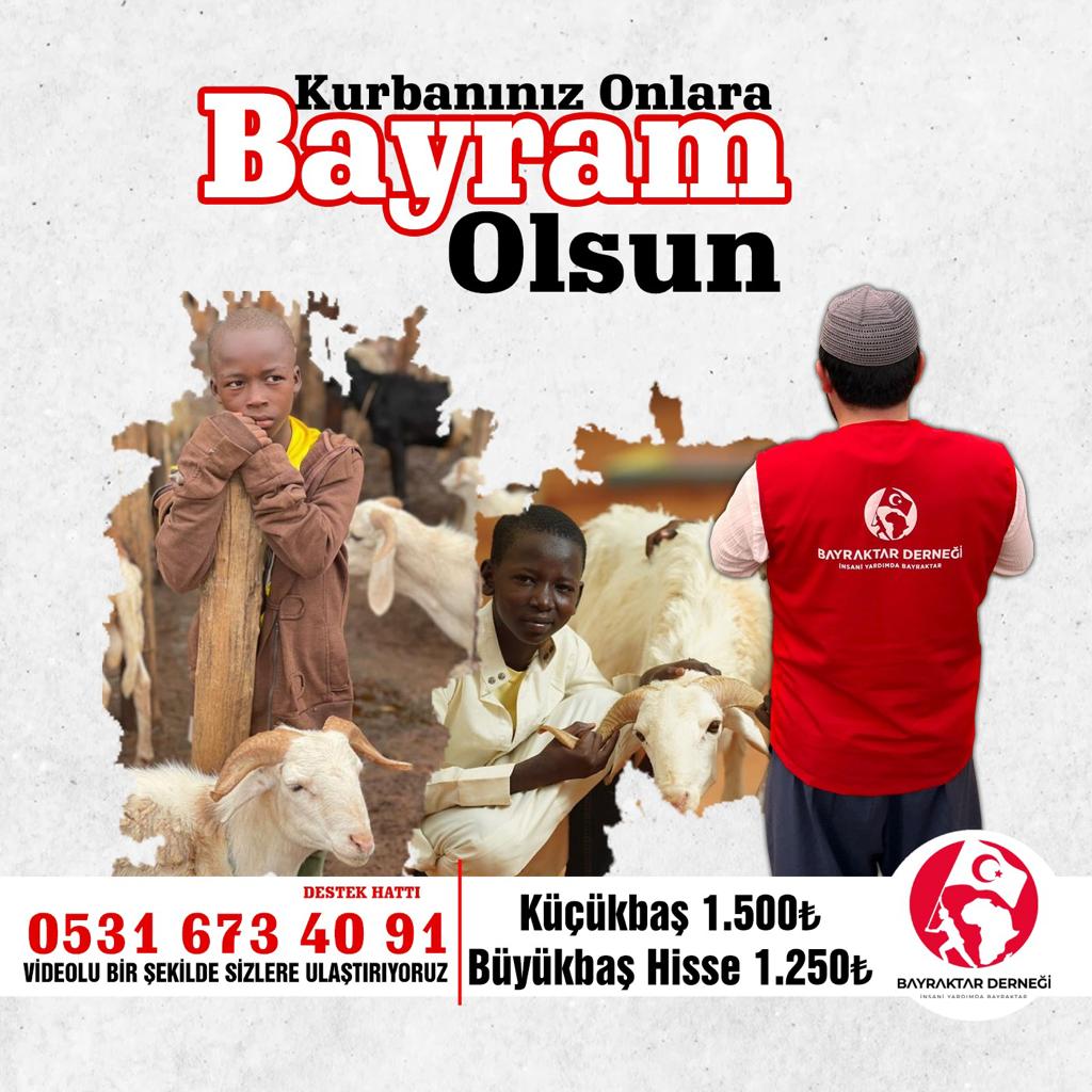 Büyükbaş Vacip Kurban 7 Hisse