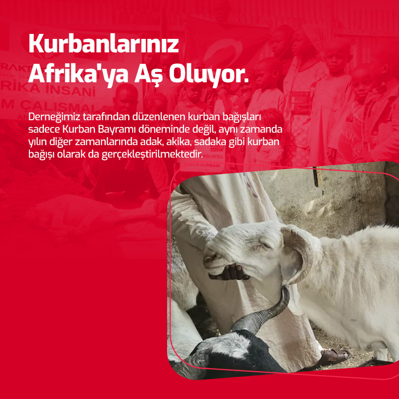 Kurbanlarınız Afrika'ya Aş Oluyor