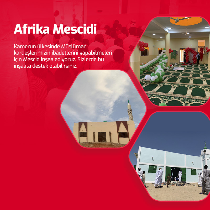 Afrika Mescitleri