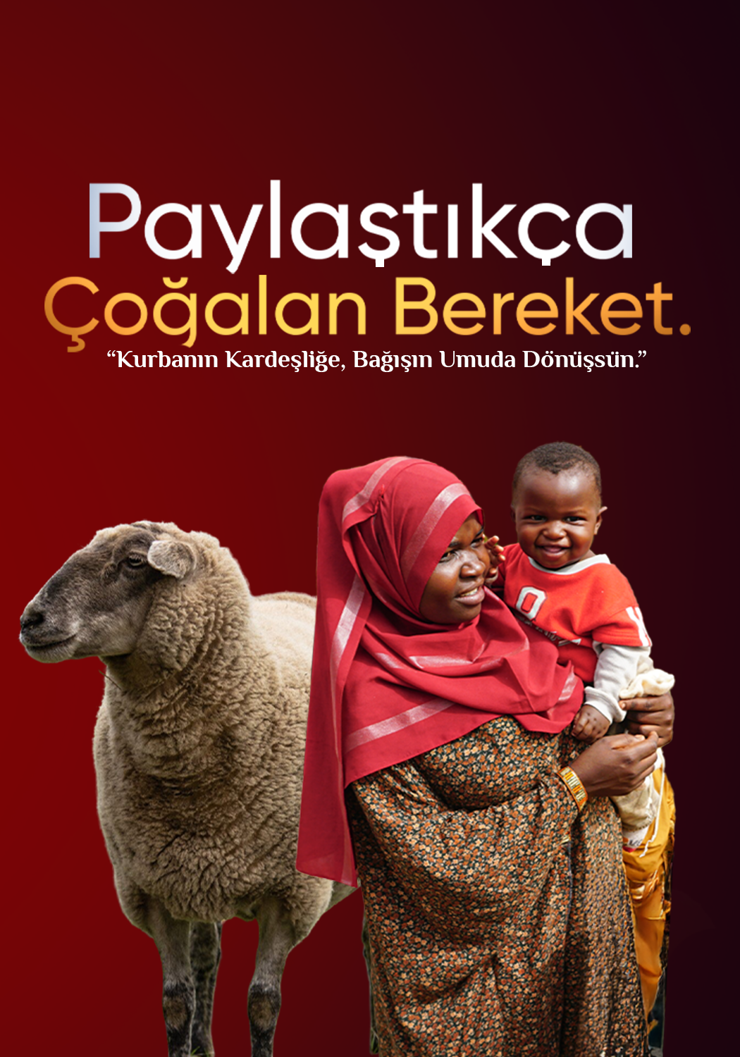 Büyükbaş Vacip Kurban Hisse